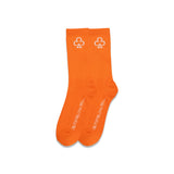 CLUB LOGO SOCKS (BUNDLE)