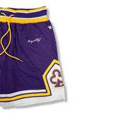 LOYALTY BASKETBALL SHORTS (PURPLE)