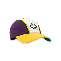 MARDI GRAS DAD HAT #2